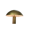 Fotografia e Abazhur dyshemeje Mushroom, celik me finiture brushed brass – 60×152.5 cm.