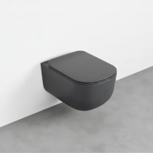 Picture of Era wc, ceramic, wall hung, lavagna, matte, 37x53 cm