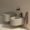 Picture of Itaca wc, ceramic, wall hung, avena, matte, 37x53 cm
