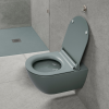 Picture of Pura wc, ceramic, wall hung, agave, matte, 55x36 cm