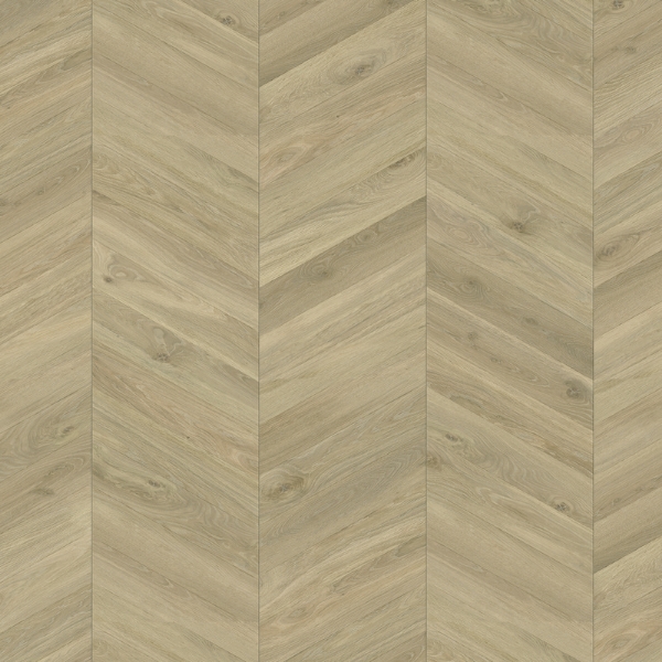 Picture of Laminate, loire modern trendtime 8, oak beige, 1285x330x8mm, ac4, uc23/32