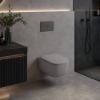 Picture of Era seat cover, soft close, concrete, matte, 37x53 cm